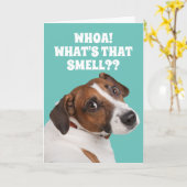 古いおもしろいファルトの誕生日Caのためのファルトの臭い犬 カード (黄色い花)