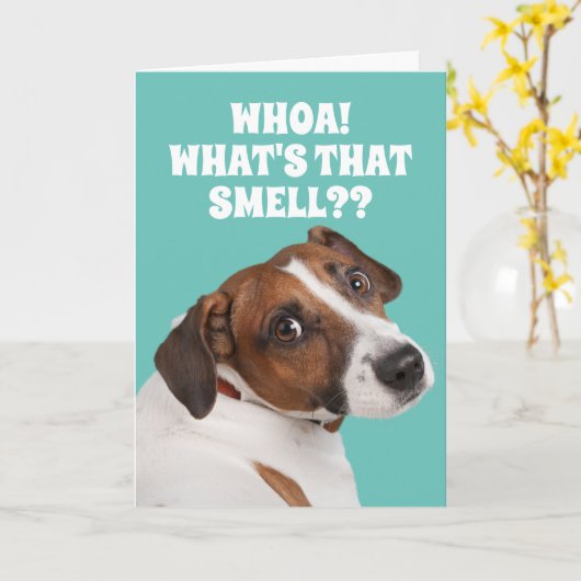 古いおもしろいファルトの誕生日Caのためのファルトの臭い犬 カード (黄色い花)