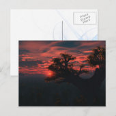 古いはがきの中で ポストカード (正面/裏面)