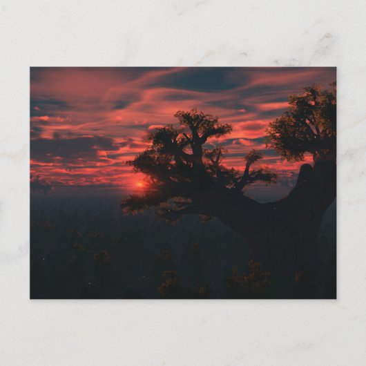 古いはがきの中で ポストカード (正面)