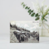 古いはがき – ガラțイ、ルーマニア ポストカード (スタンド正面)