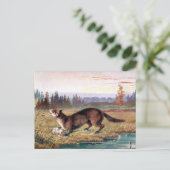 古いはがき – パインマーテン ポストカード (スタンド正面)