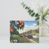 古いはがき – フロリダの「Streamliner」 ポストカード (スタンド正面)