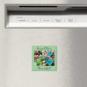 古いものも美しい！マグネットビーチSeaglass マグネット (インサイチュ (食洗機))