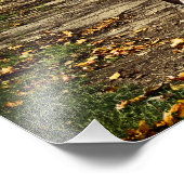 古いアミッシュワゴン フォトプリント            (角)