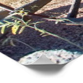 古いアリゾナワゴン ポスター (角)