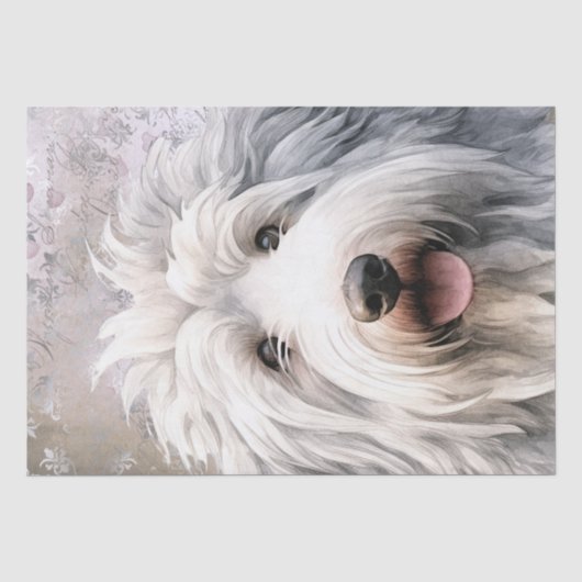 古いイギリスの牧羊犬 薄葉紙 (正面)