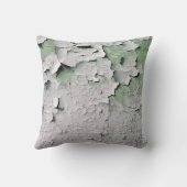 古いイングランドの剥離絵を描 クッション (裏面)