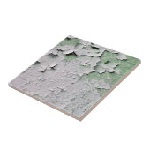 古いイングランドの剥離絵を描 タイル (側面)