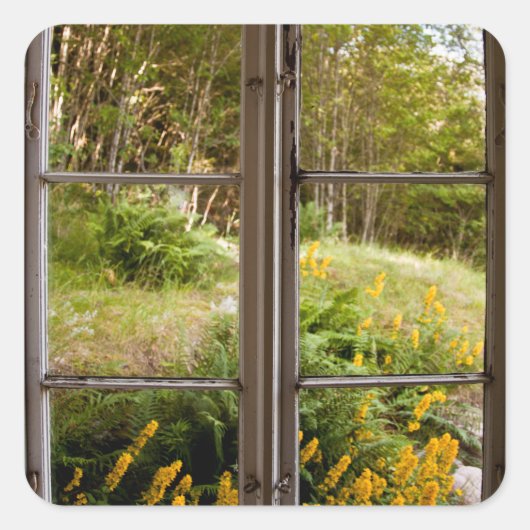 古いウィンドウで表示 スクエアシール (正面)