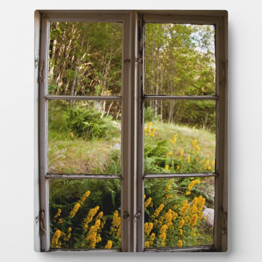 古いウィンドウで表示 フォトプラーク (正面)