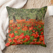 古いオリーブの下の赤いケシの花 クッション (ブランケット)