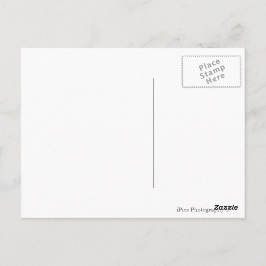 古いオリーブの木の下の赤いケシの花 ポストカード (裏面)