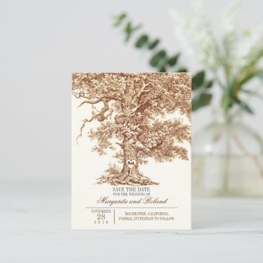 古いオークの木が日付はがきを保存する 案内ポストカード (スタンド正面)