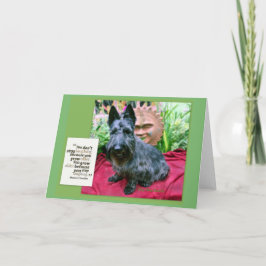 古いカードの増加 カード