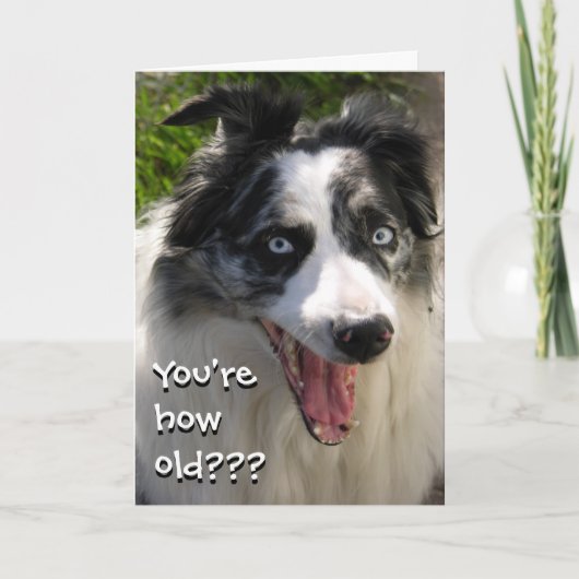 古いカード カード (正面)