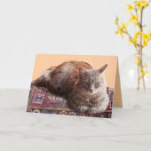古いカーペットの上のトルコ猫 カード (黄色い花)