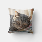 古いキルトの上で眠るタビーキャット クッション (正面)