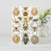 古いクモまたはアラクニド エルンスト・ヘッケルによる 招待状 (スタンド正面)