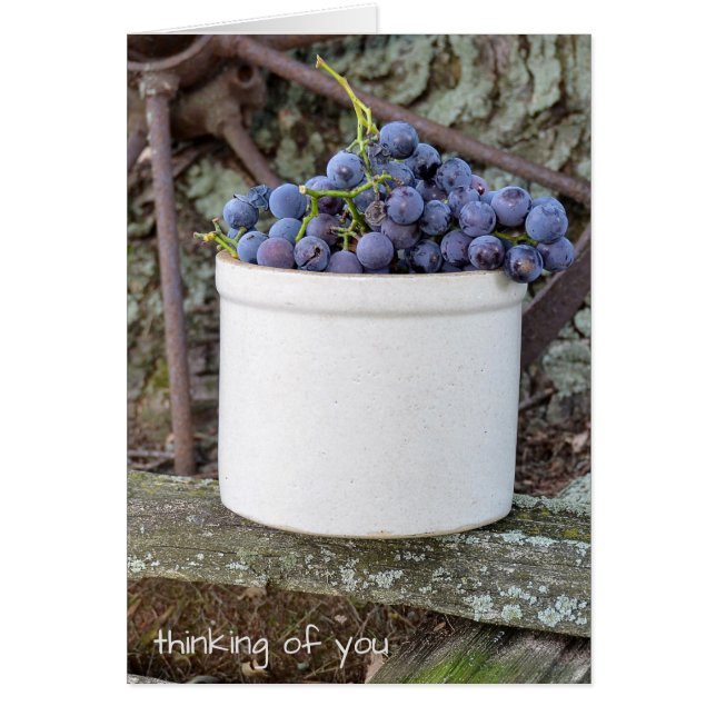 古いクロックの石器で作られた紫色のブドウの束 (正面)