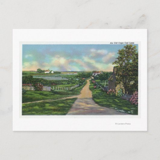 古いケープコッドレーンのビュー ポストカード (正面)