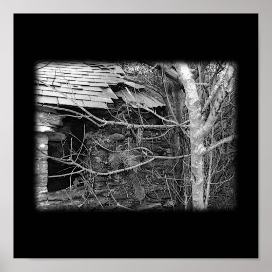 古いコテージとツリー。白黒. ポスター (正面)