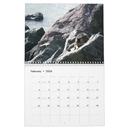 古いサンファンの2016カレンダーの猫 カレンダー (2月 2026)