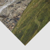 古いシューハウスティッシュペーパー 薄葉紙 (詳細)