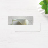 古いスクリプトの手書きブックマークでlilyを呼び出す (デスク)