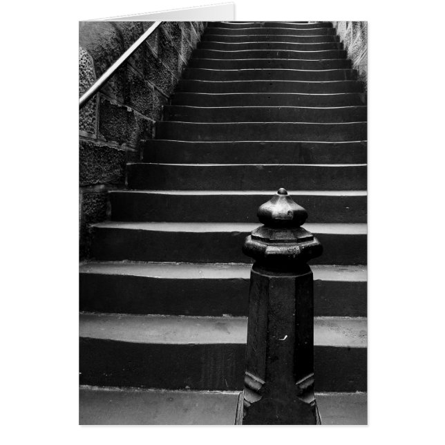 古いステップ (正面)