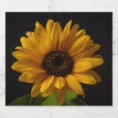 古いスピリットグラスのヒマワリの写真 リキュールボトルラベル (シングルラベル)