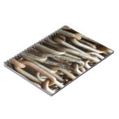 古いチェーンフォトノートブック ノートブック (左側)