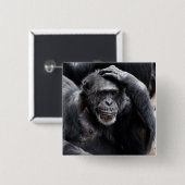 古いチンパンジーのボタン 缶バッジ (正面&裏面)