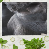 古いチンパンジー手タオル キッチンタオル (折り畳み)