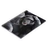 古いチンパンジー手帳 ノートブック (左側)