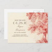 古いツリー絵を描ヴィンテージは日付はがきを保存 案内ポストカード (正面/裏面)