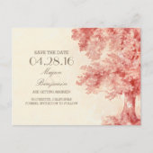 古いツリー絵を描ヴィンテージは日付はがきを保存 案内ポストカード (正面)