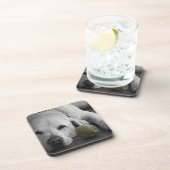 古いテニス・ボールとの黄色いラブラドール コースター (右側)