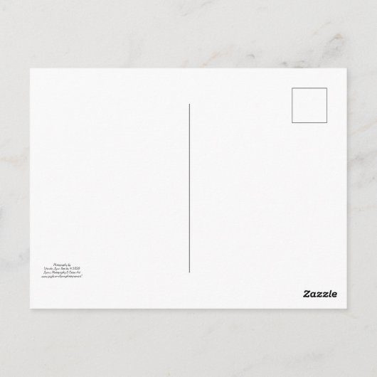 古いトラクタ – はがき (裏面)