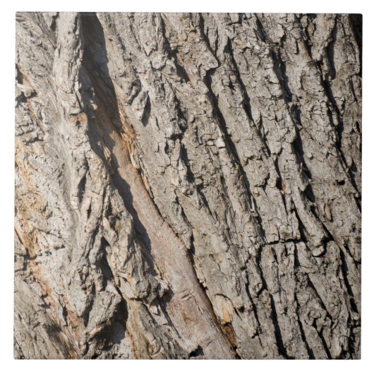 古いトランクパターン タイル (正面)