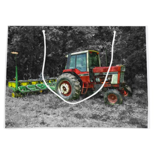 古いトラ国際的クターペインタリー ラージペーパーバッグ (正面)