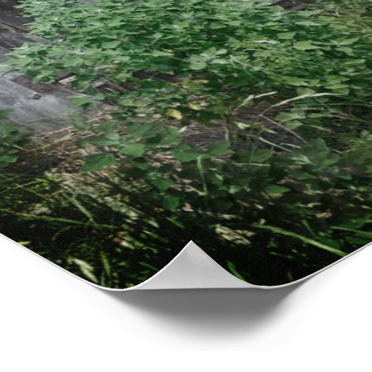 古いドア ポスター (角)