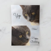 古いハッピーバースデー カード (内部)