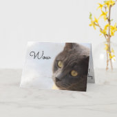 古いハッピーバースデー カード (黄色い花)