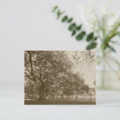 古いバッテリ ポストカード (スタンド正面)