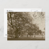 古いバッテリ ポストカード (正面/裏面)