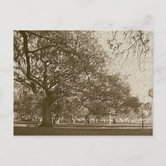 古いバッテリ ポストカード