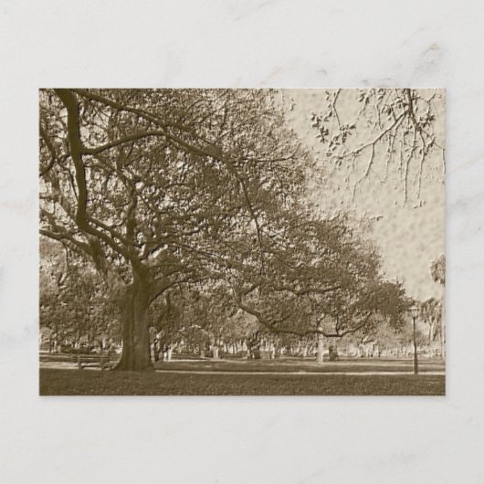 古いバッテリ ポストカード (正面)