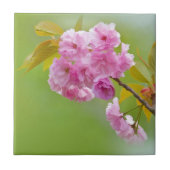 古いバラのタイル タイル (正面)