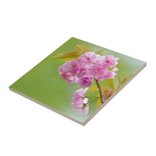 古いバラのタイル タイル (側面)